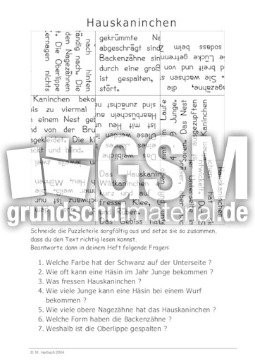 Hauskaninchen.pdf